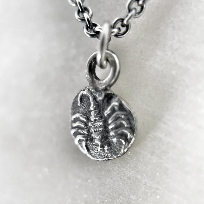 Scorpion Coin Pendant Necklace