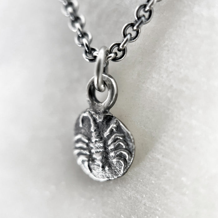 Scorpion Coin Pendant Necklace