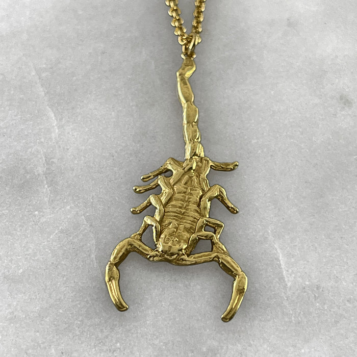 Don't get stung New Scorpio necklace available in silver and gold |  Instagram