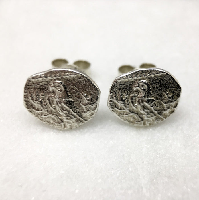 Silver Parrot Coin Earrings