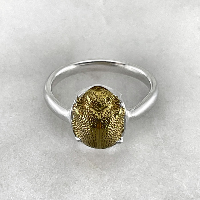 Golden Scarab Ring