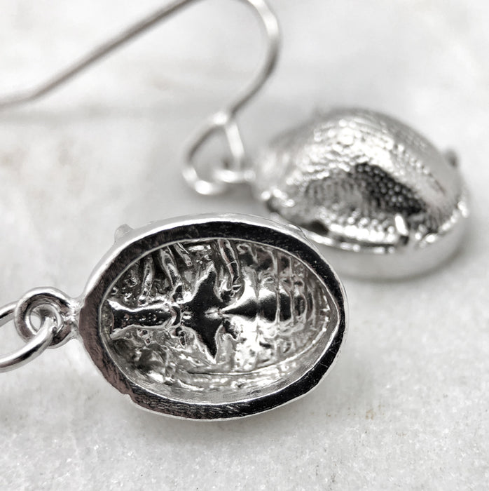 Scarab Beetle Silver Earrings